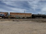 UTCX 47981